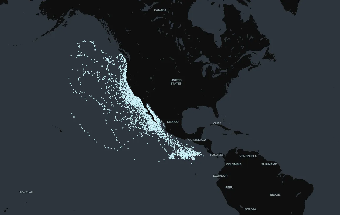 Blue Whales in Eastern Pacific