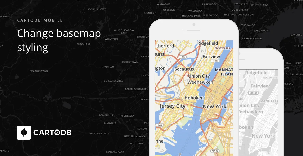 Change base map styling with the SDK