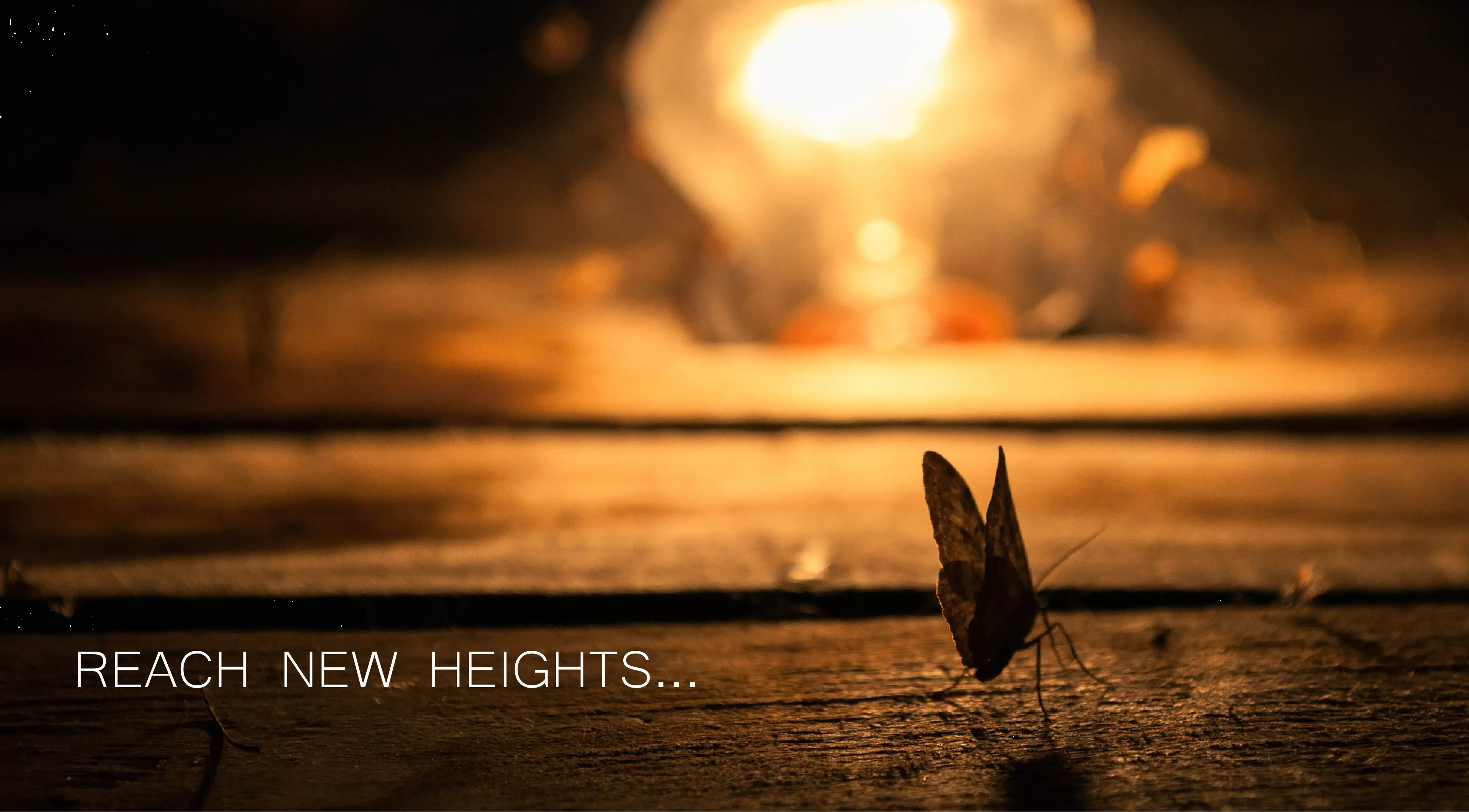 reach new heights
