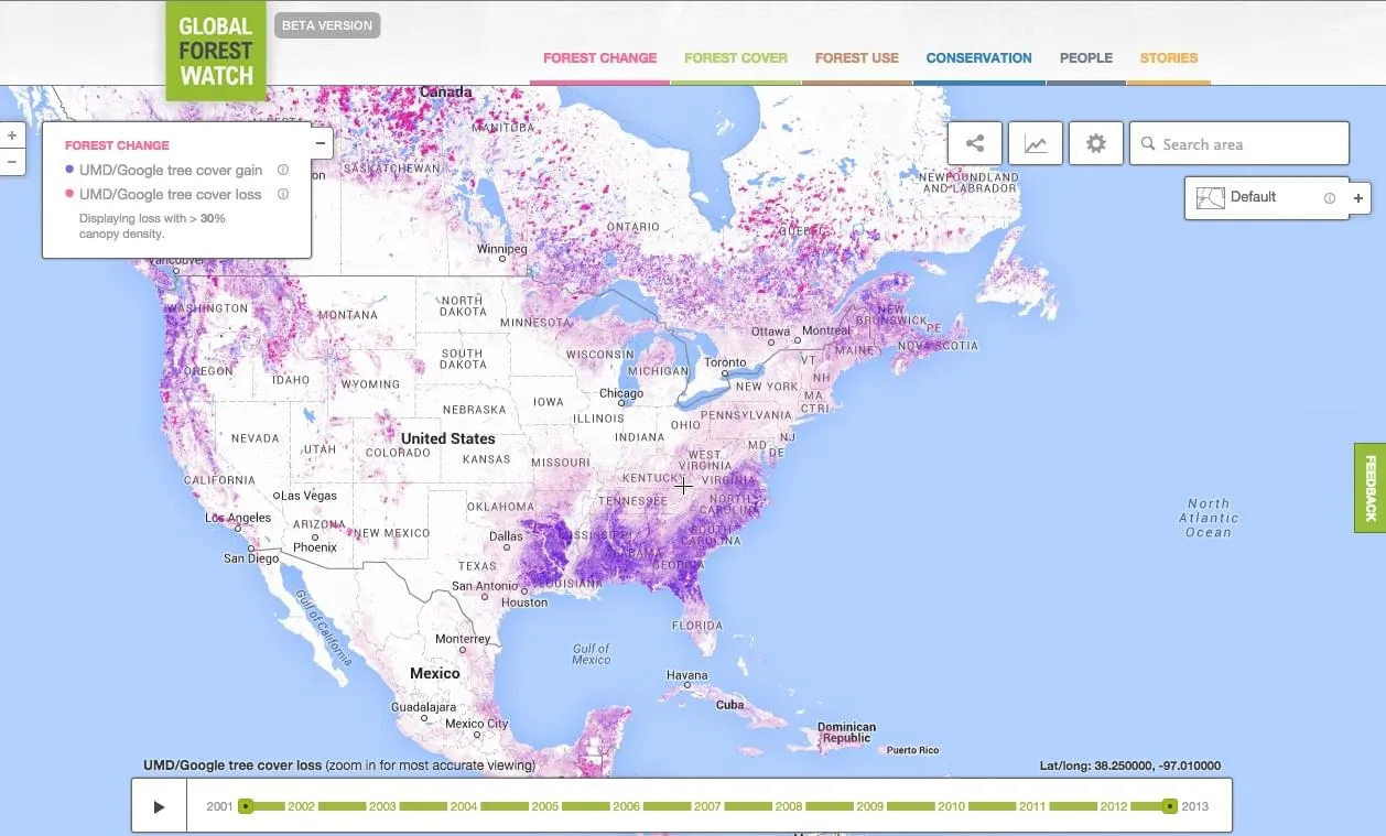 Global Forest Watch Map