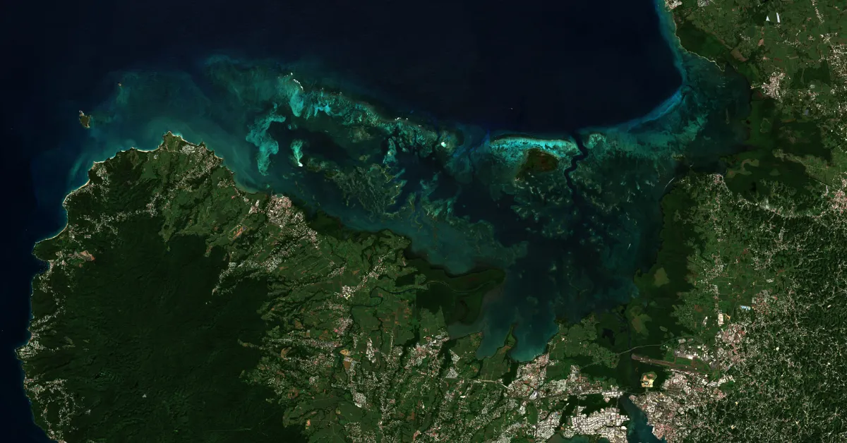 A satellite image of Guadeloupe's coast
